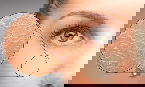 Hydrating Moisturizer Cream - SILKCOCOON SKINCARE